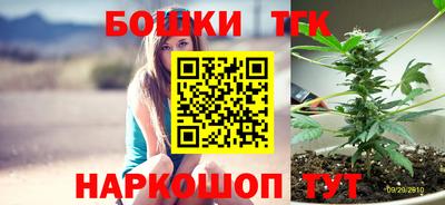 крисы Ставрополь