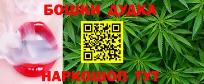крисы Ставрополь