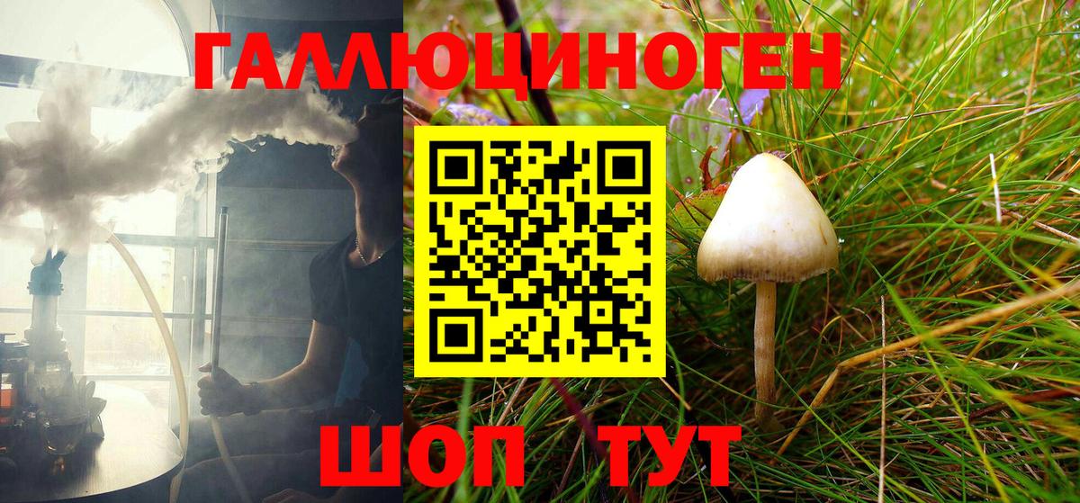 Галлюциногенные грибы Cubensis Можга