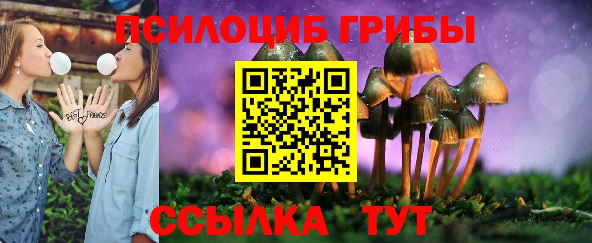 Можга  Псилоцибиновые грибы Cubensis  Вход с VPN  Галлюциногенные грибы MAGIC MUSHROOMS 